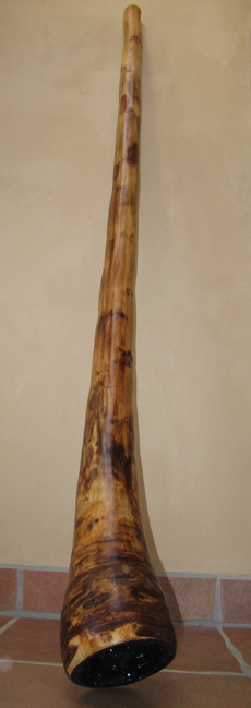 digeridu 1