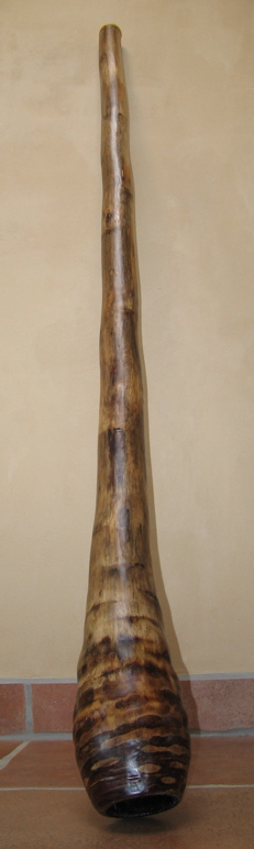 digeridu 1