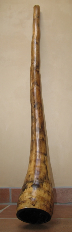 digeridu 1
