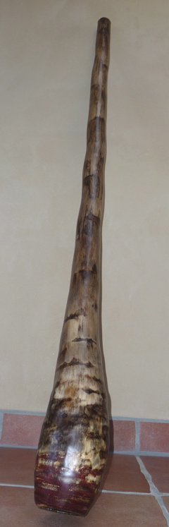 digeridu 1