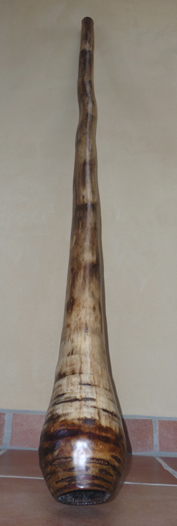 digeridu 1