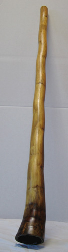 digeridu 1