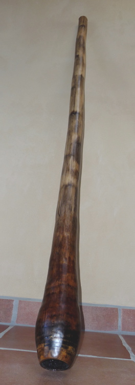 digeridu 1